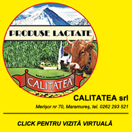 Sponsor Calitatea